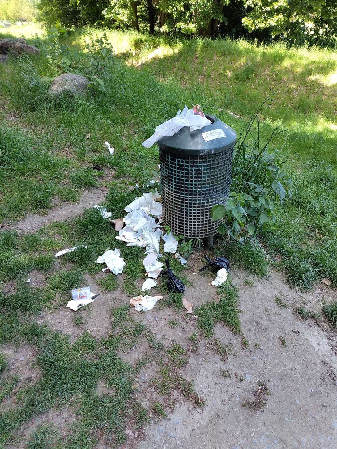 Bild zu gemeldetem Anliegen vom *2025-05-17 09:57:39