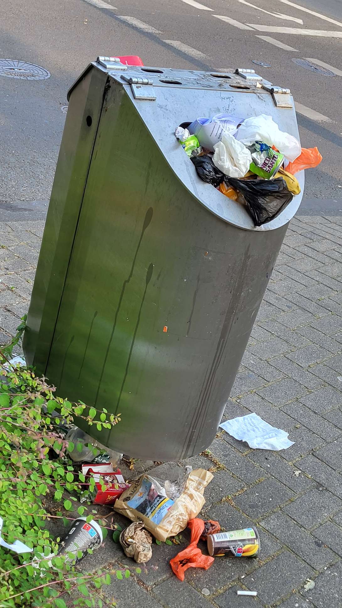 Bild zu gemeldetem Anliegen vom *2025-05-20 22:38:55