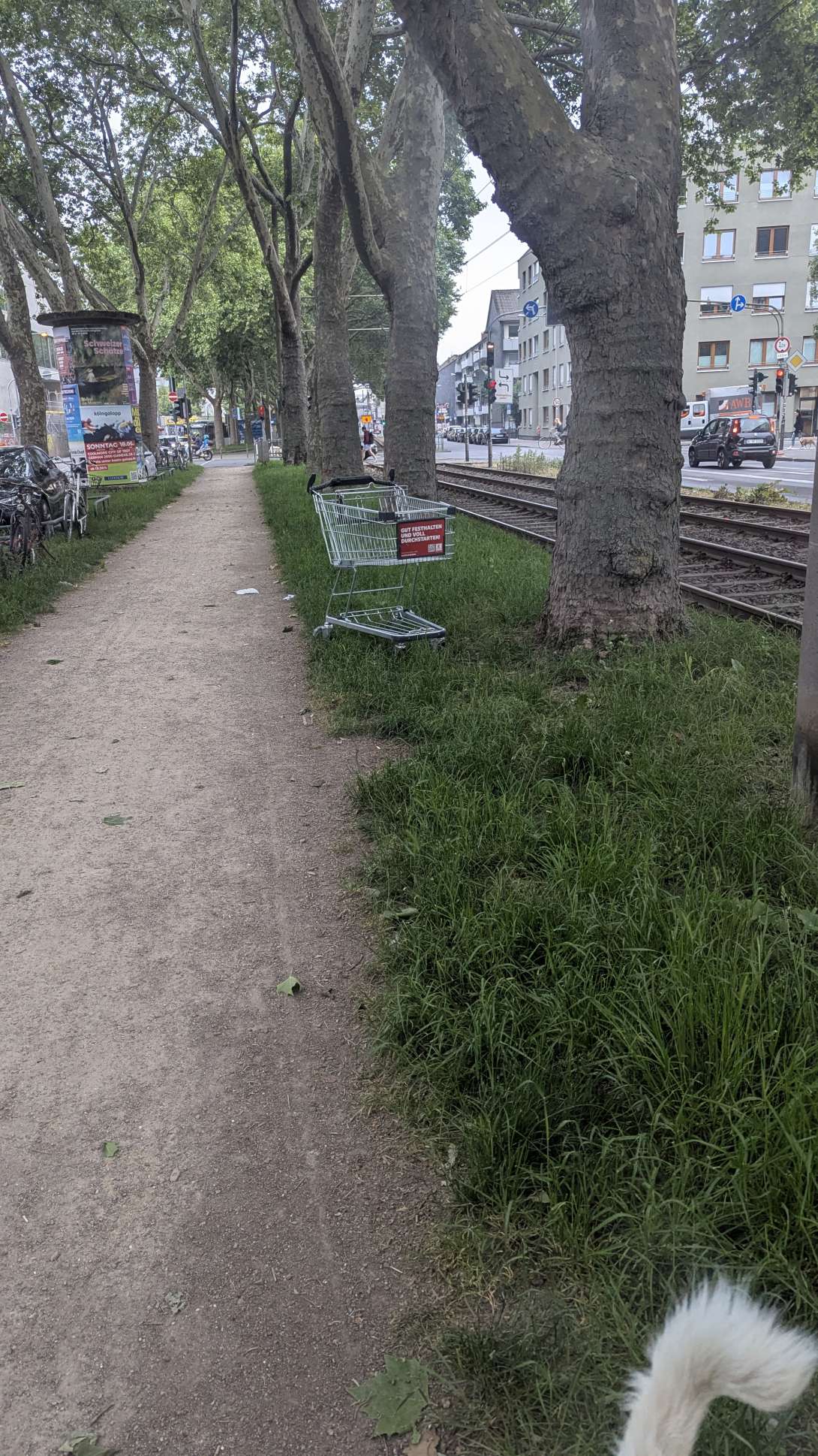 Bild zu gemeldetem Anliegen vom *2025-05-19 19:43:40