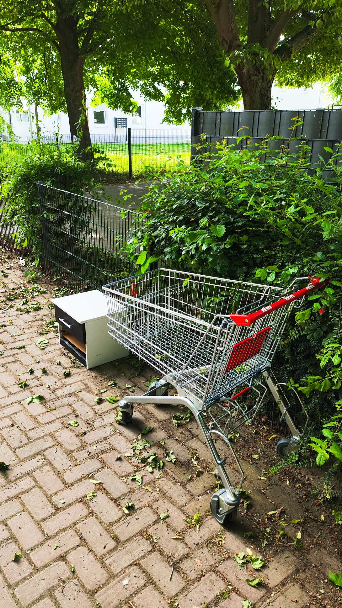 Bild zu gemeldetem Anliegen vom *2025-05-17 09:54:21