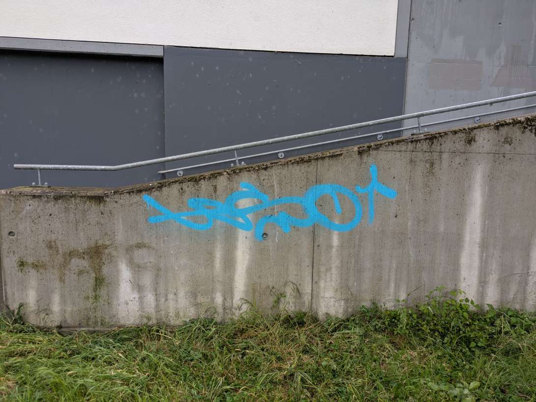 Bild zu gemeldetem Anliegen vom *2025-05-25 21:33:42