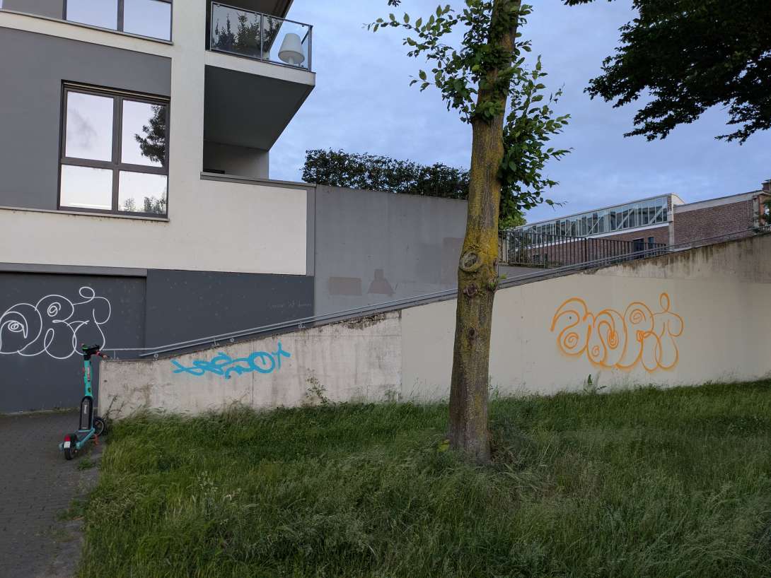 Bild zu gemeldetem Anliegen vom *2025-05-29 10:33:03