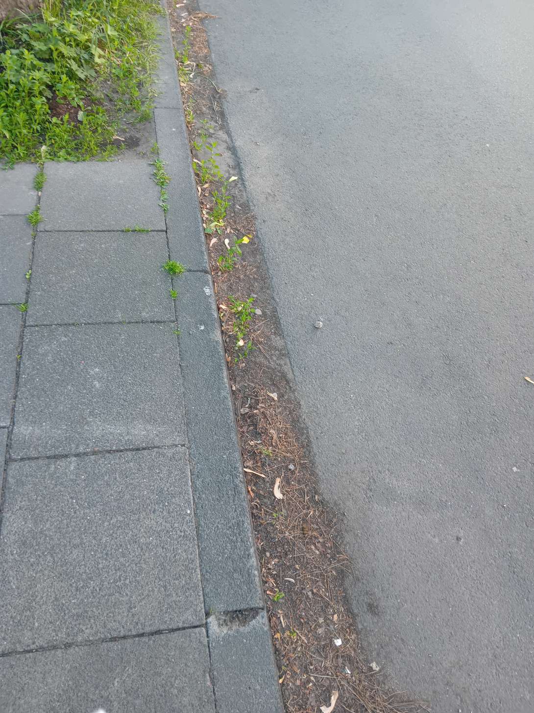 Bild zu gemeldetem Anliegen vom *2025-05-19 09:49:38