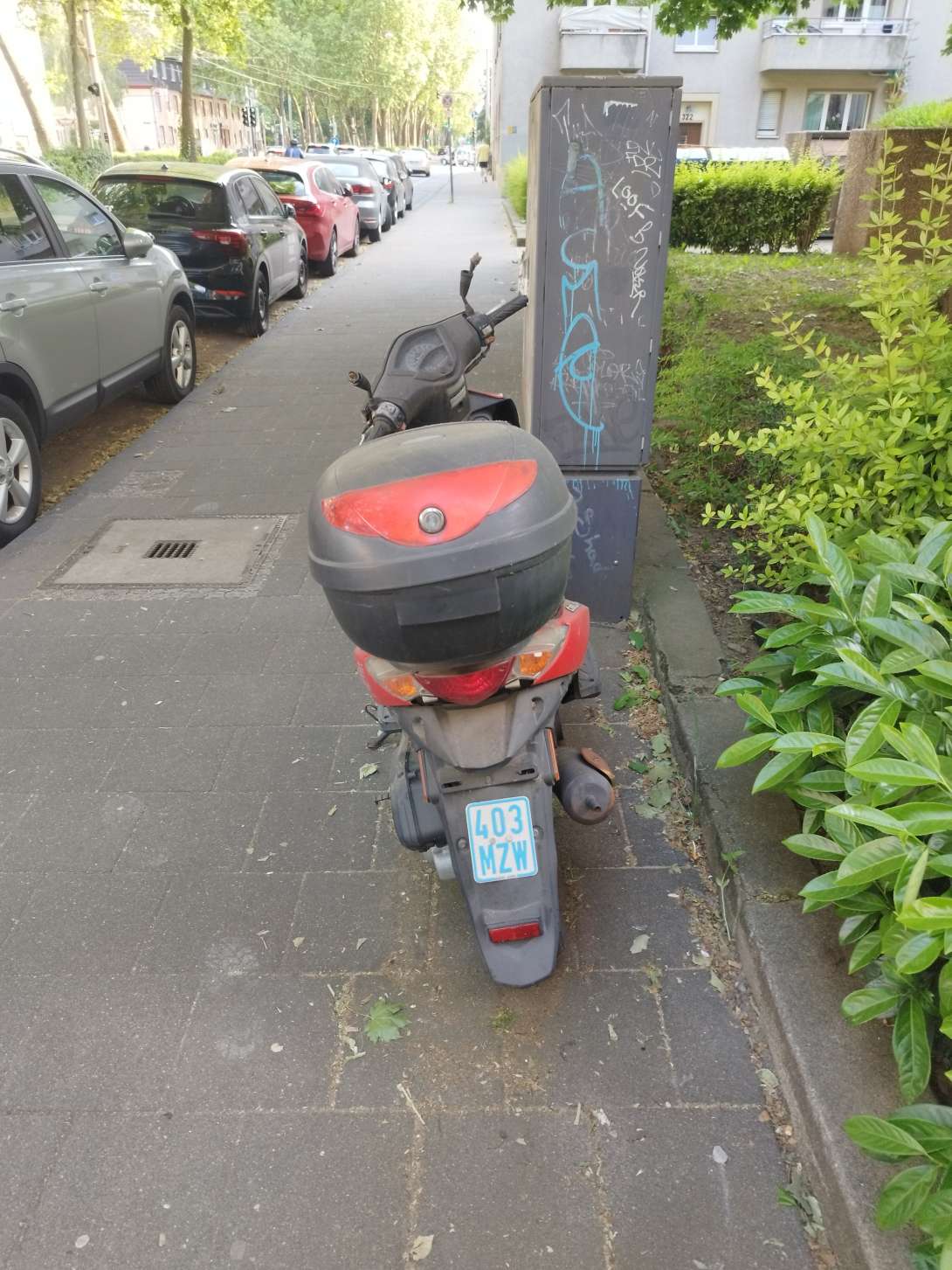 Bild zu gemeldetem Anliegen vom *2025-05-20 18:40:41