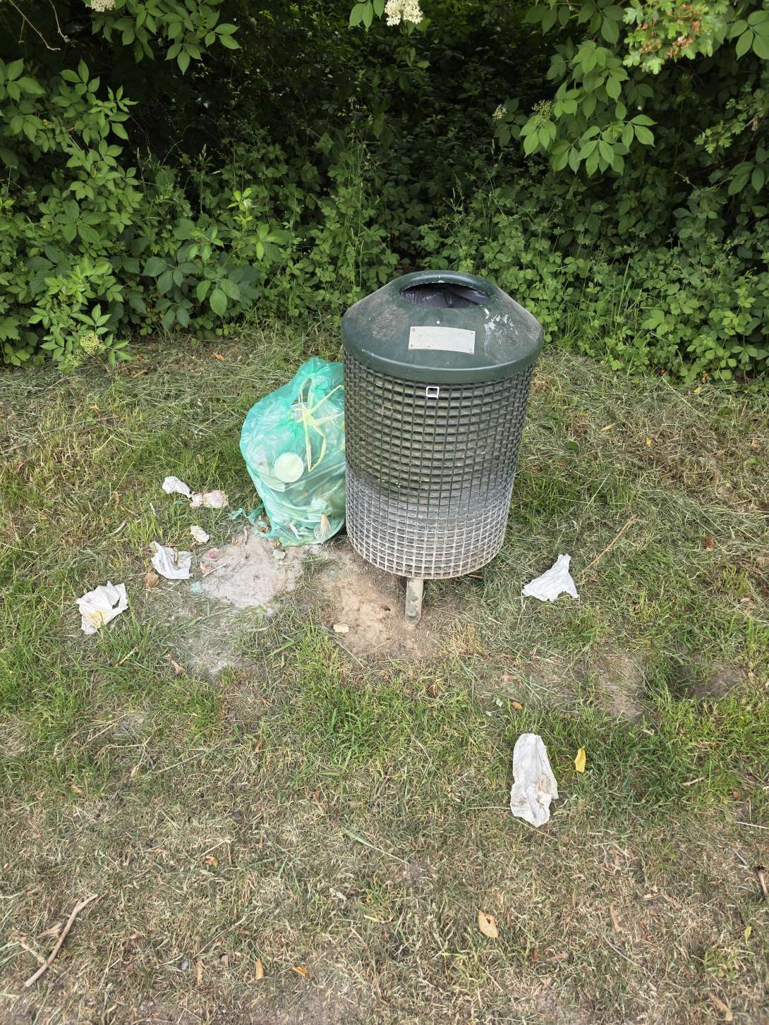 Bild zu gemeldetem Anliegen vom *2025-05-21 13:00:12