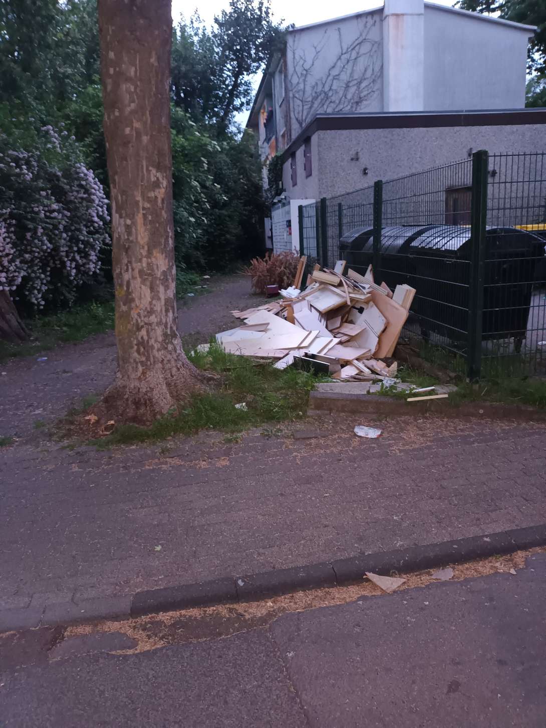 Bild zu gemeldetem Anliegen vom *2025-05-07 21:17:22