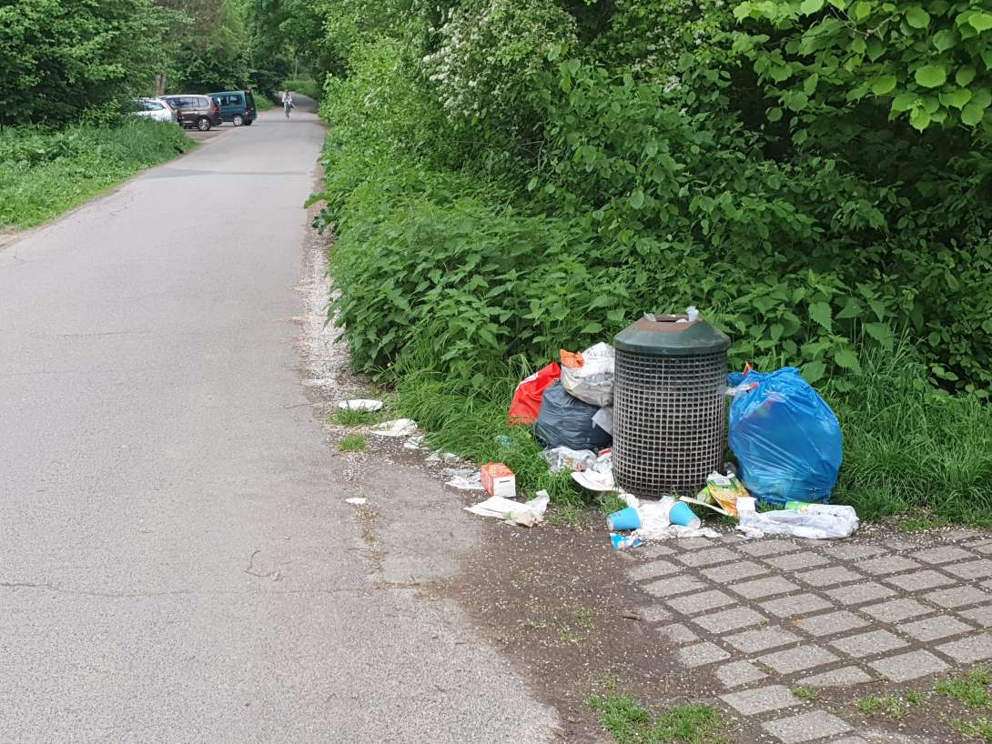 Bild zu gemeldetem Anliegen vom *2025-05-04 18:37:09