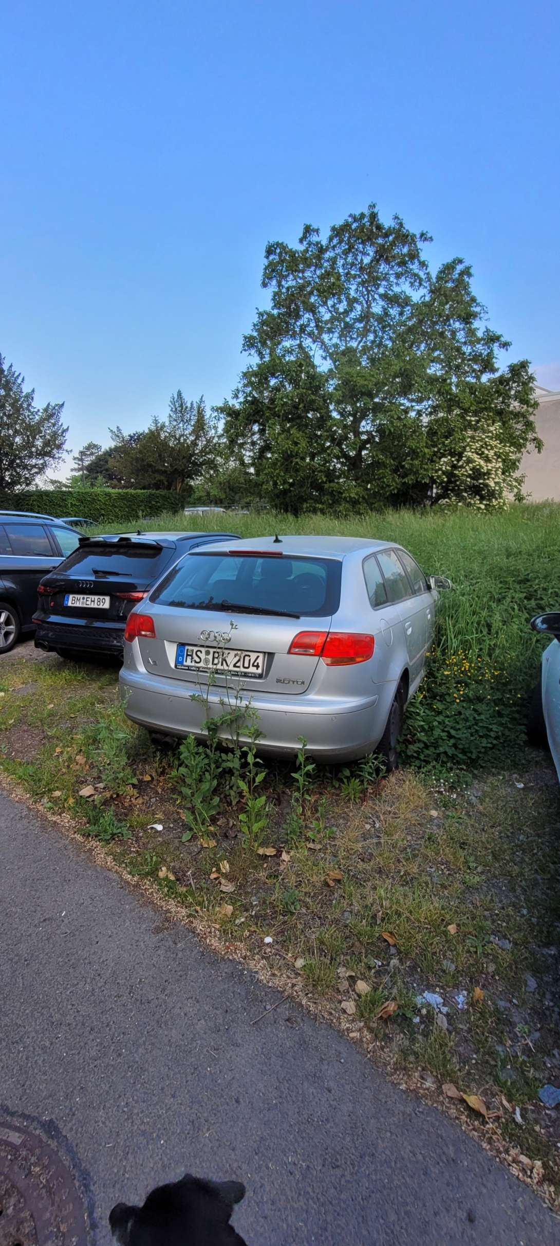 Bild zu gemeldetem Anliegen vom *2025-05-17 18:32:40