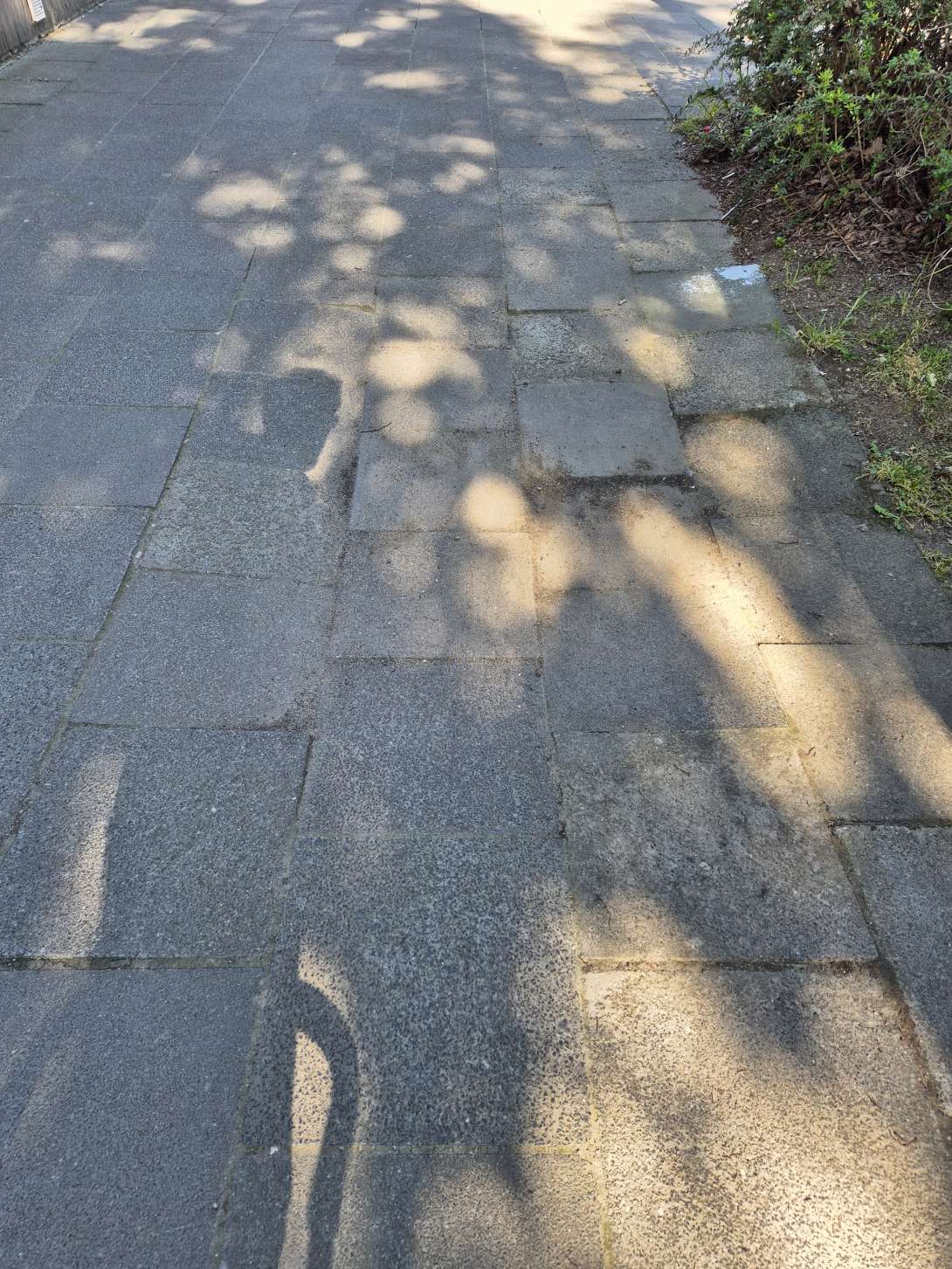 Bild zu gemeldetem Anliegen vom *2025-05-23 09:34:23
