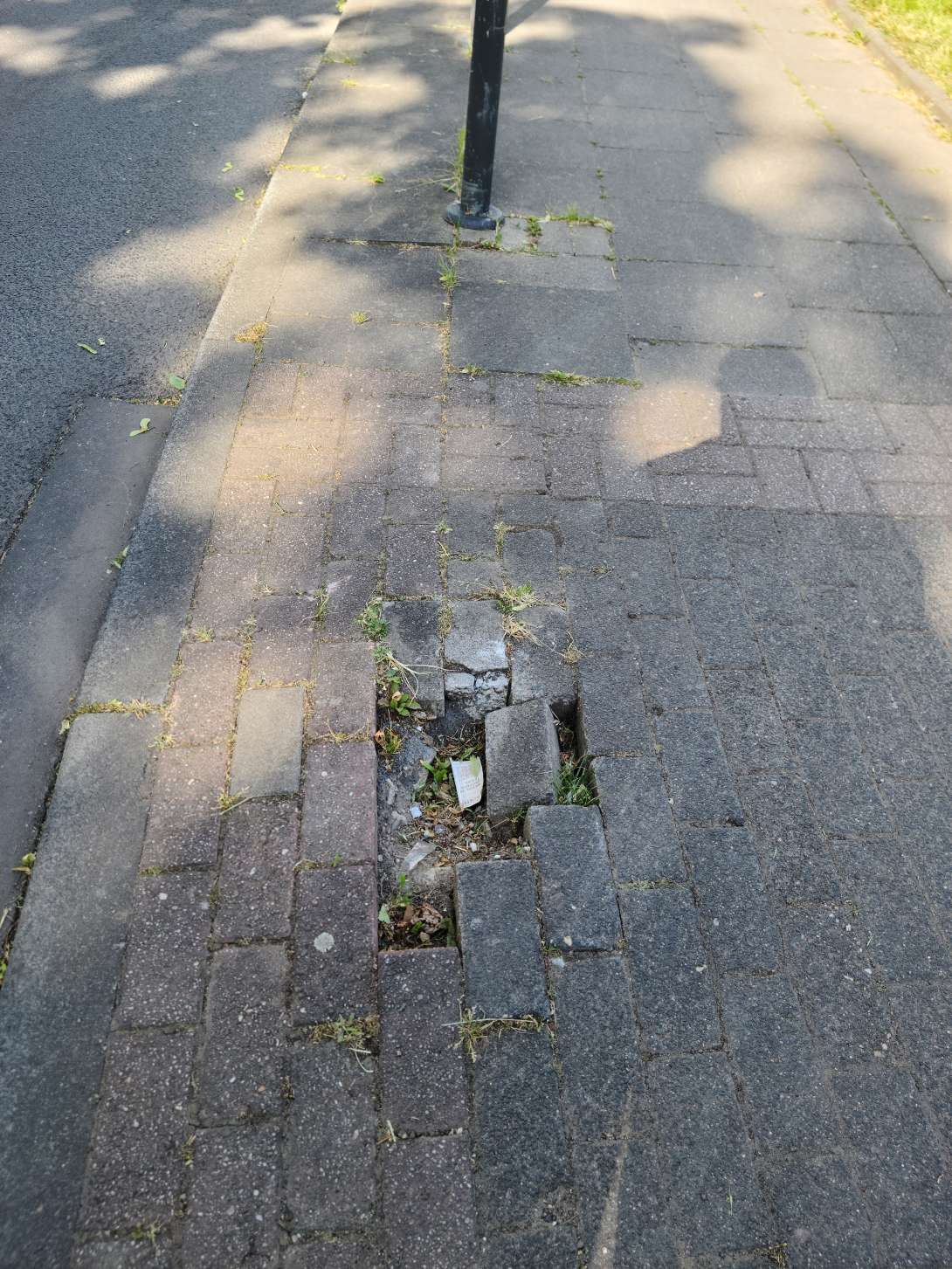 Bild zu gemeldetem Anliegen vom *2025-05-22 18:28:46