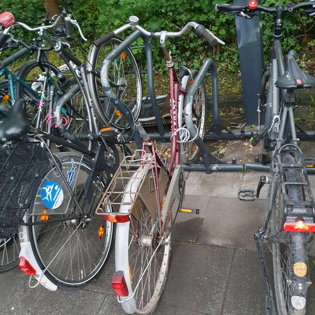 Bild zu gemeldetem Anliegen vom *2025-05-28 06:31:04
