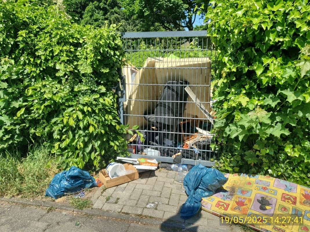 Bild zu gemeldetem Anliegen vom *2025-05-26 11:45:54