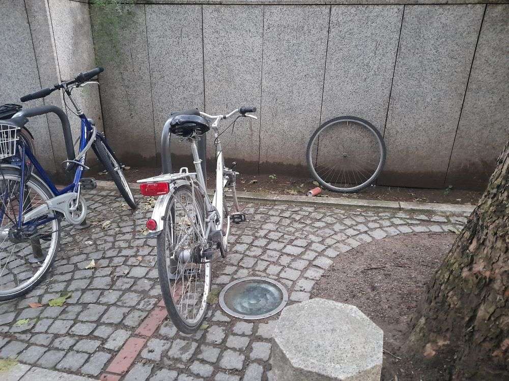 Bild zu gemeldetem Anliegen vom *2025-05-31 19:35:06