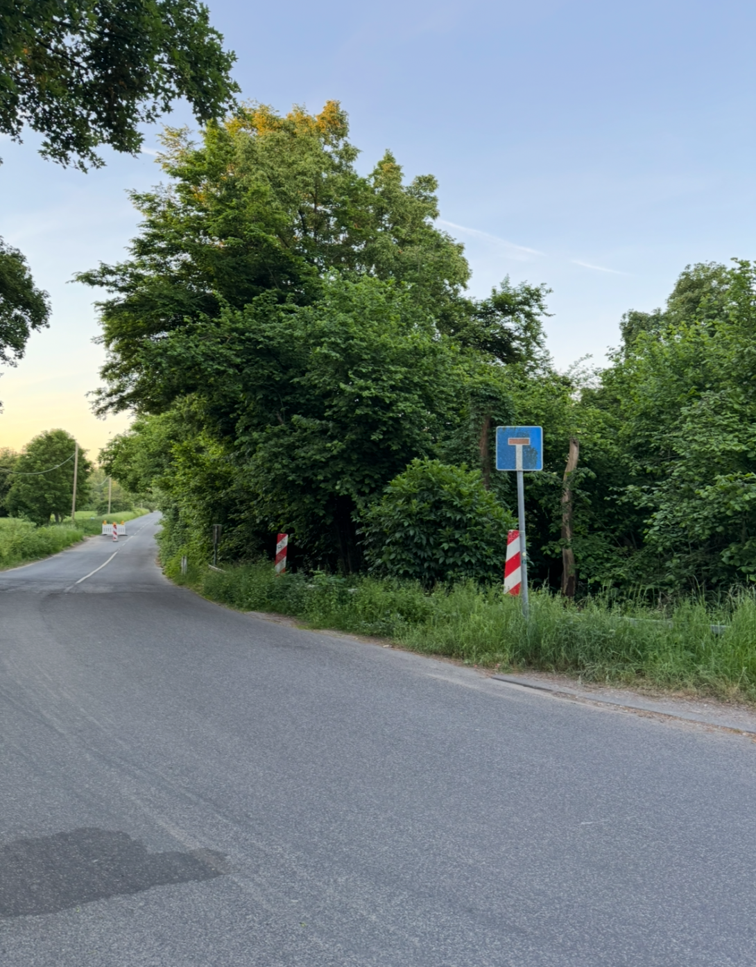 Bild zu gemeldetem Anliegen vom *2025-05-13 06:10:09
