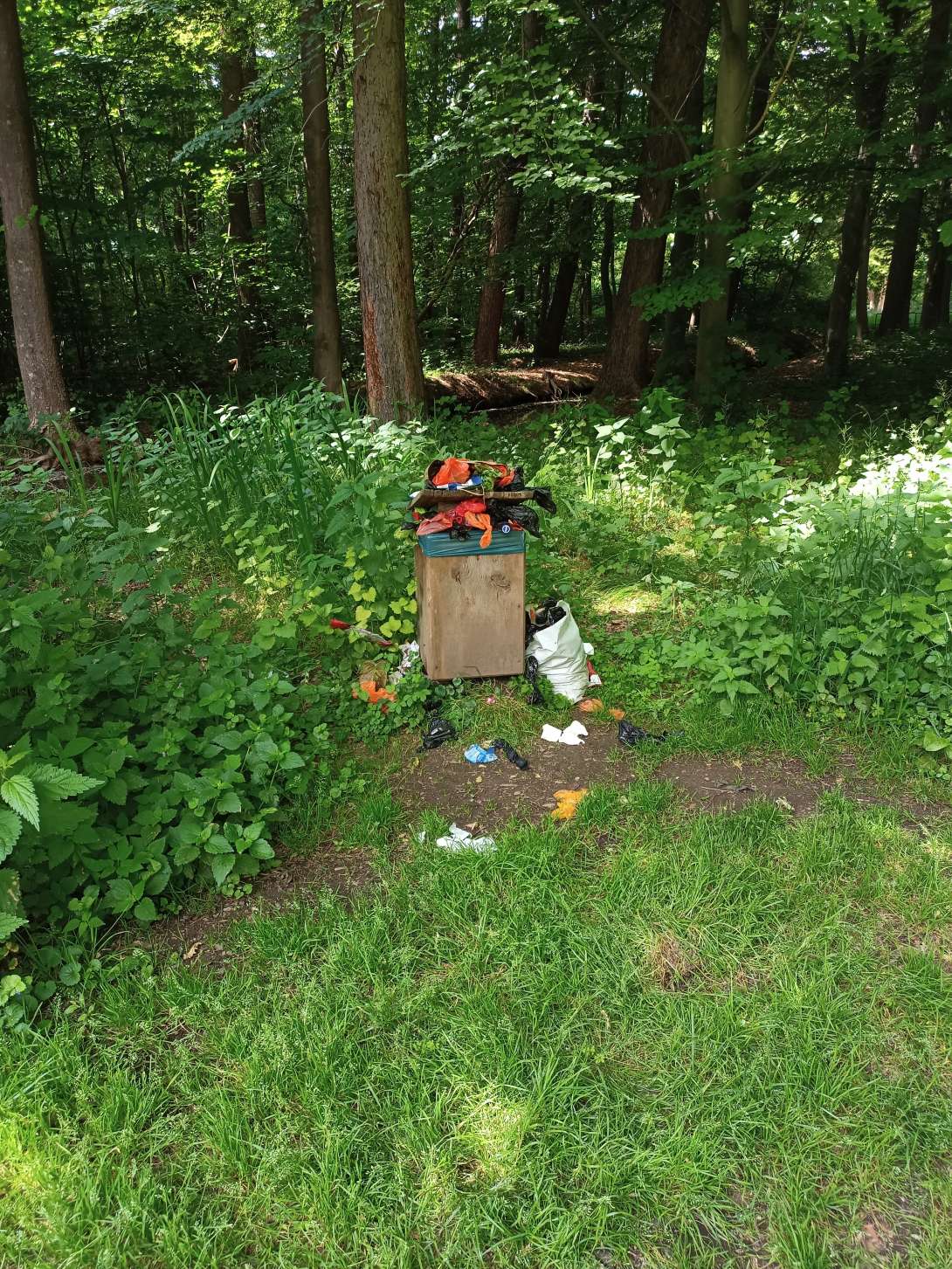 Bild zu gemeldetem Anliegen vom *2025-05-23 12:32:27