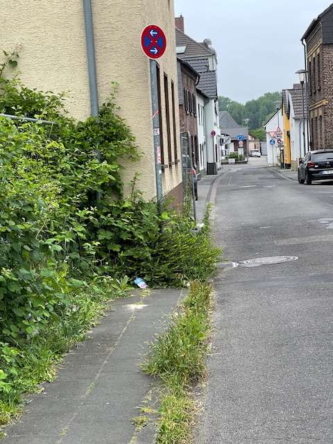Bild zu gemeldetem Anliegen vom *2025-05-18 21:35:48
