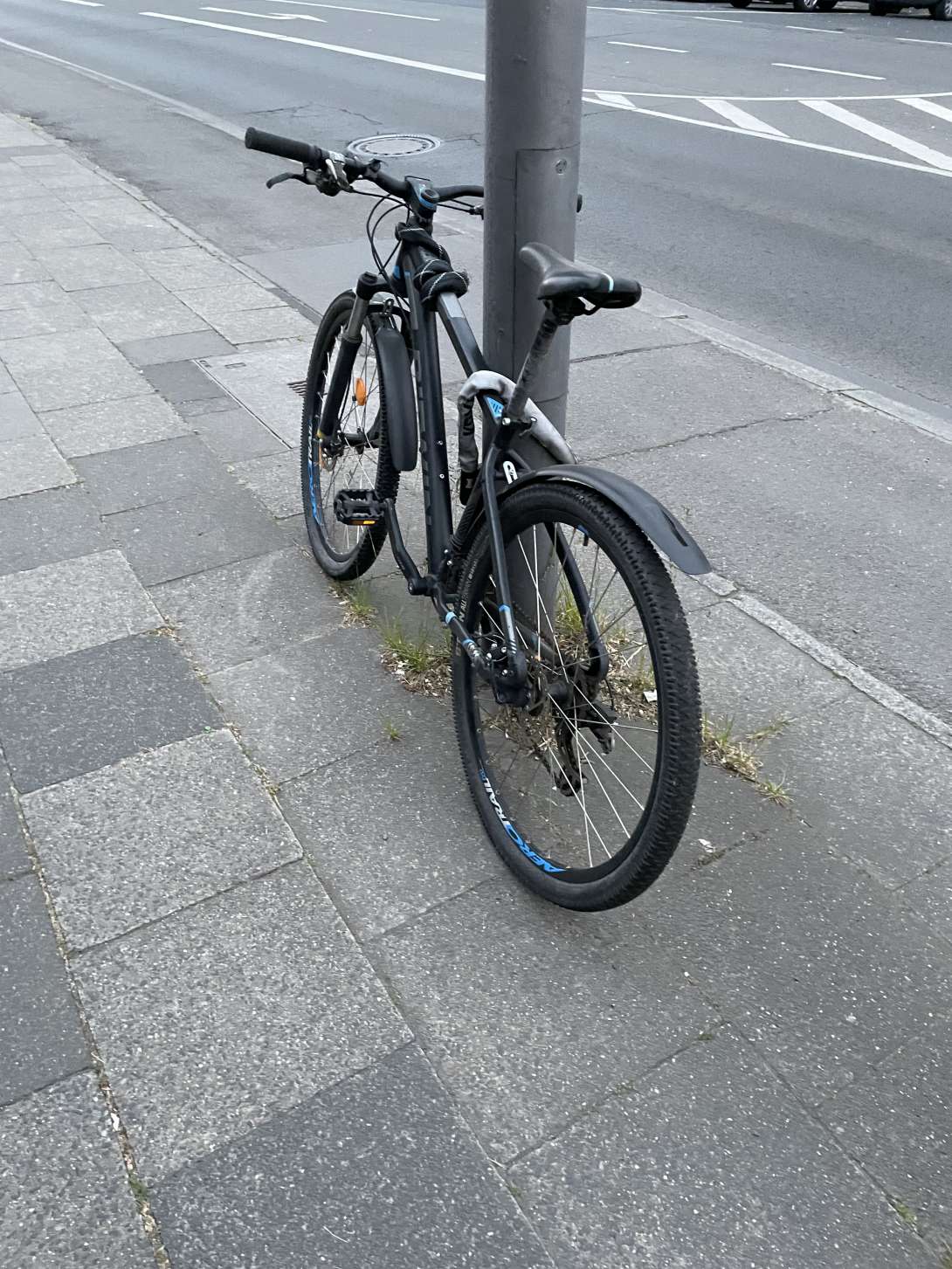 Bild zu gemeldetem Anliegen vom *2025-05-20 19:11:11