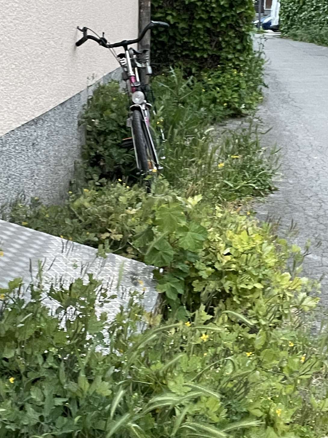 Bild zu gemeldetem Anliegen vom *2025-05-20 19:16:23