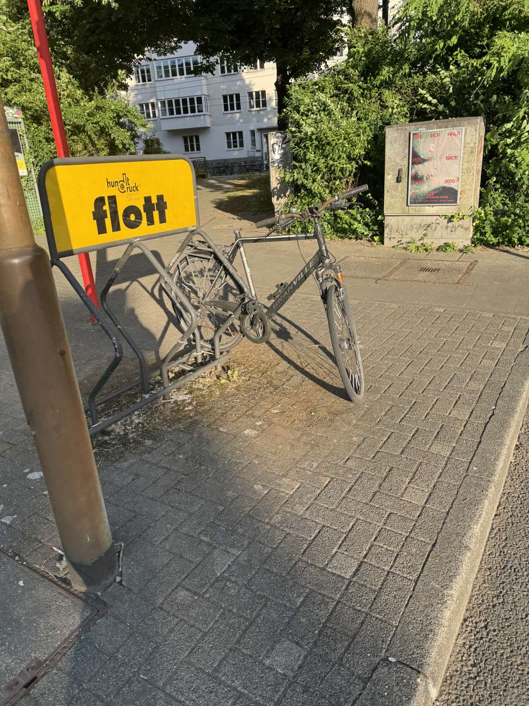 Bild zu gemeldetem Anliegen vom *2025-05-23 19:43:39