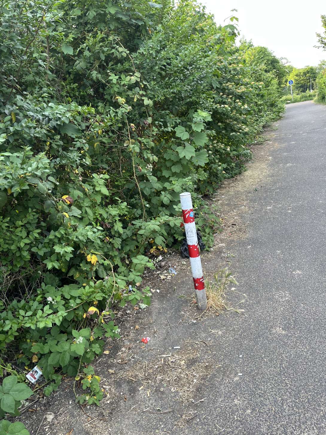 Bild zu gemeldetem Anliegen vom *2025-05-20 19:38:16