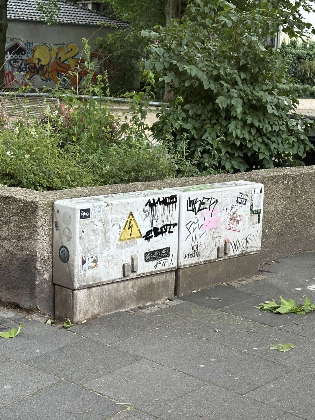 Bild zu gemeldetem Anliegen vom *2025-05-22 18:28:46