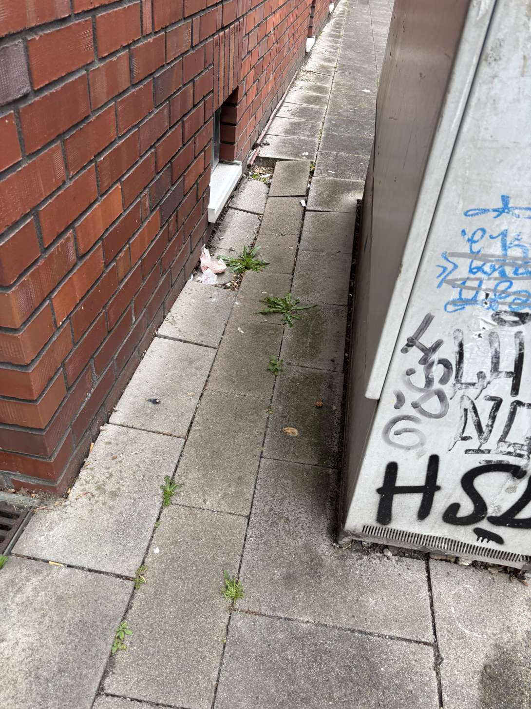 Bild zu gemeldetem Anliegen vom *2025-05-28 15:56:27