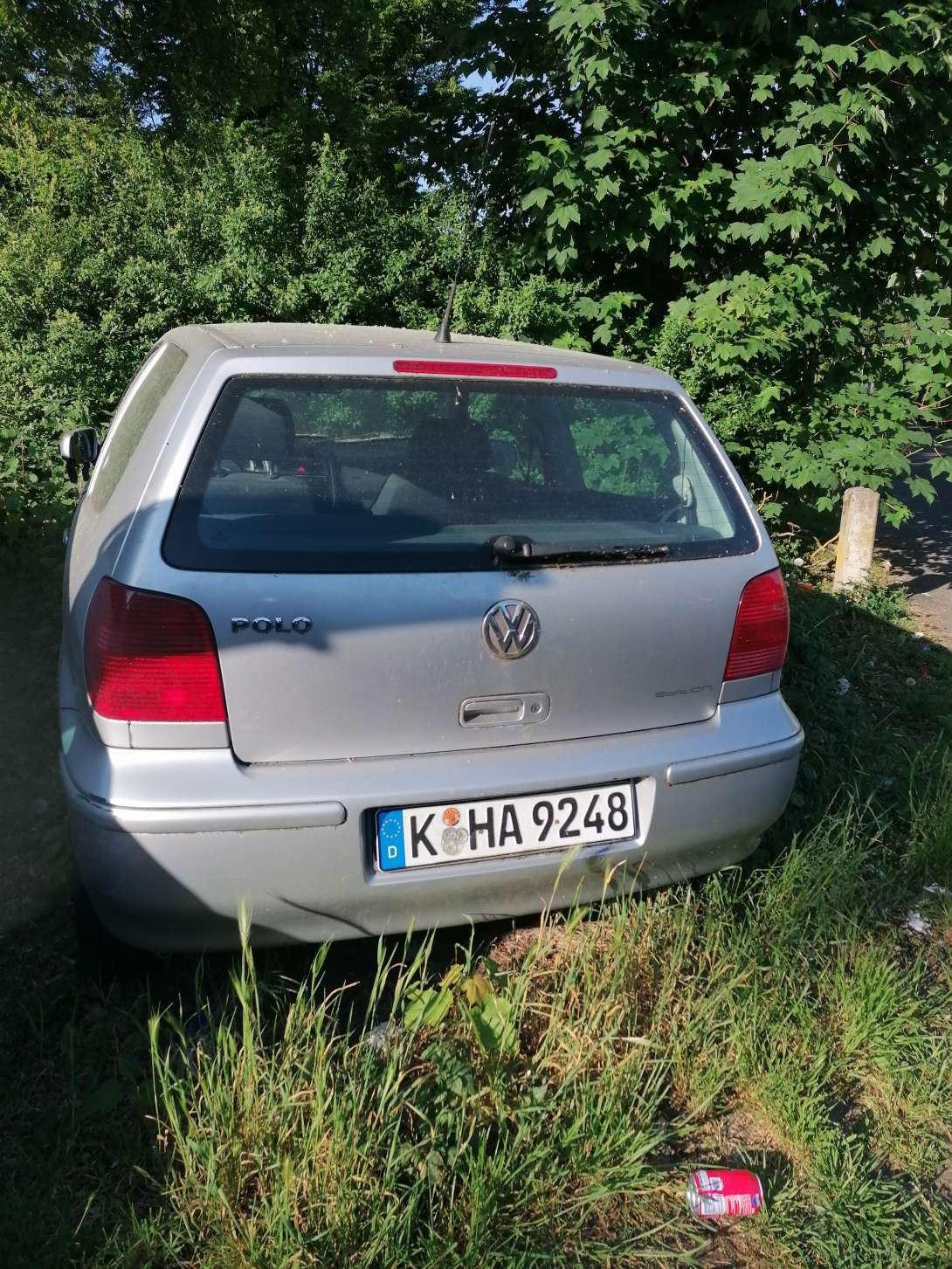 Bild zu gemeldetem Anliegen vom *2025-05-29 09:33:01