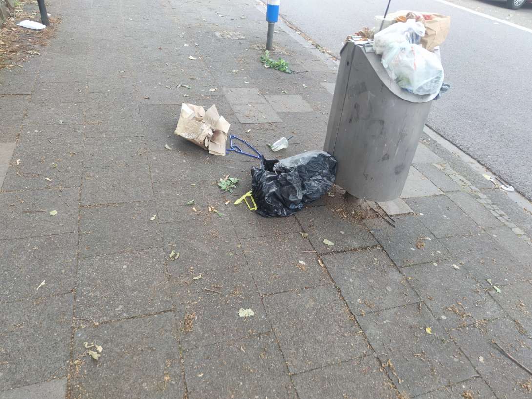 Bild zu gemeldetem Anliegen vom *2025-05-26 14:01:53