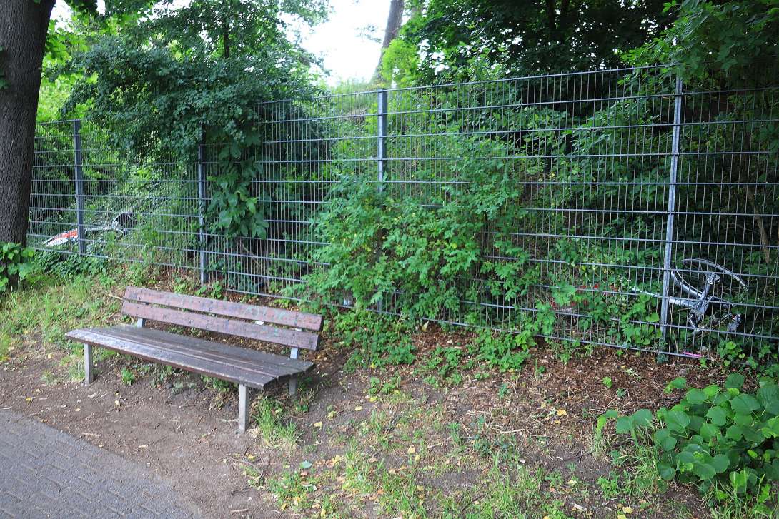 Bild zu gemeldetem Anliegen vom *2025-05-27 15:55:02