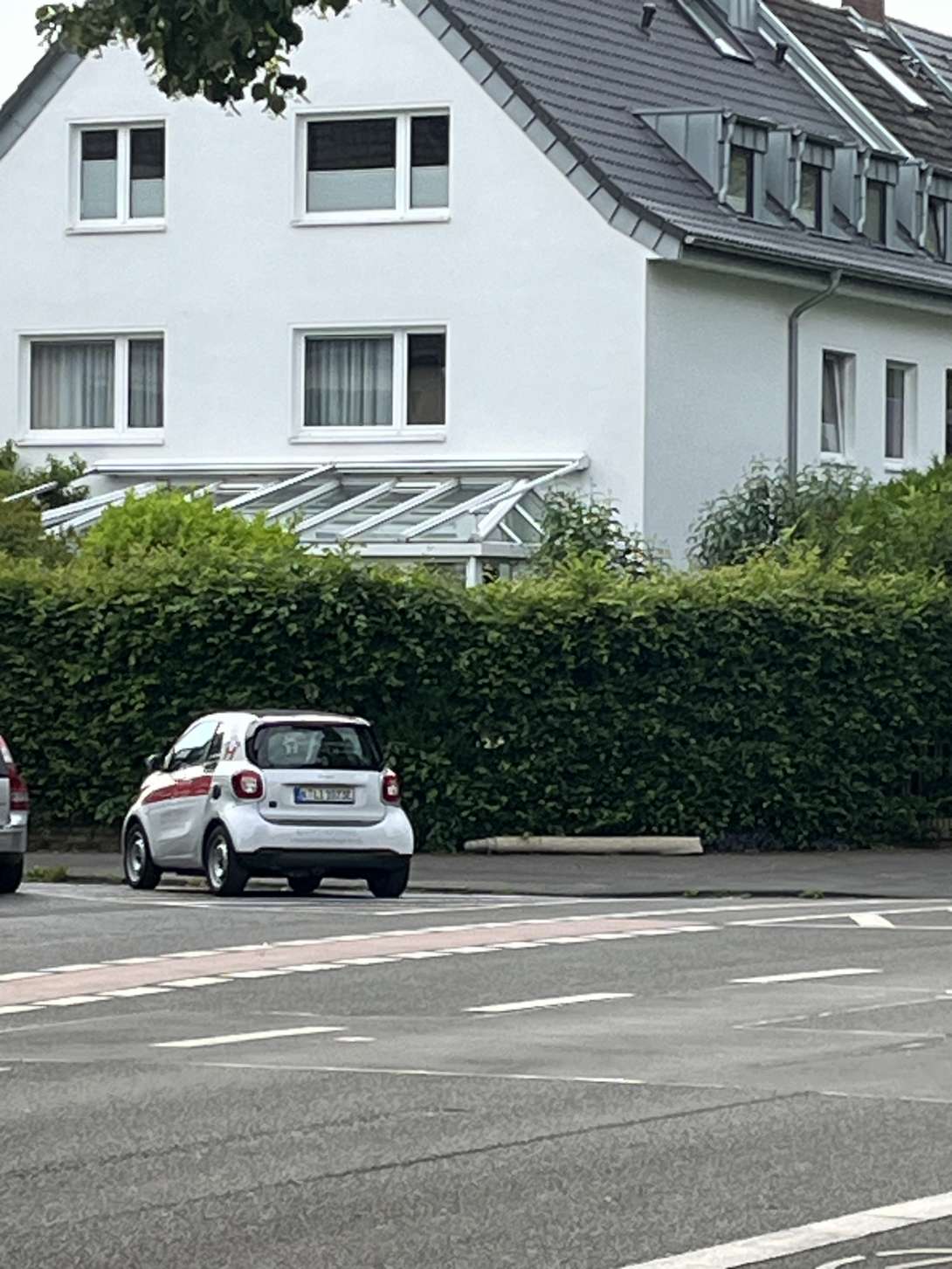 Bild zu gemeldetem Anliegen vom *2025-05-27 08:43:57
