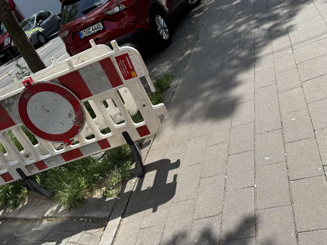 Bild zu gemeldetem Anliegen vom *2025-05-15 13:31:23