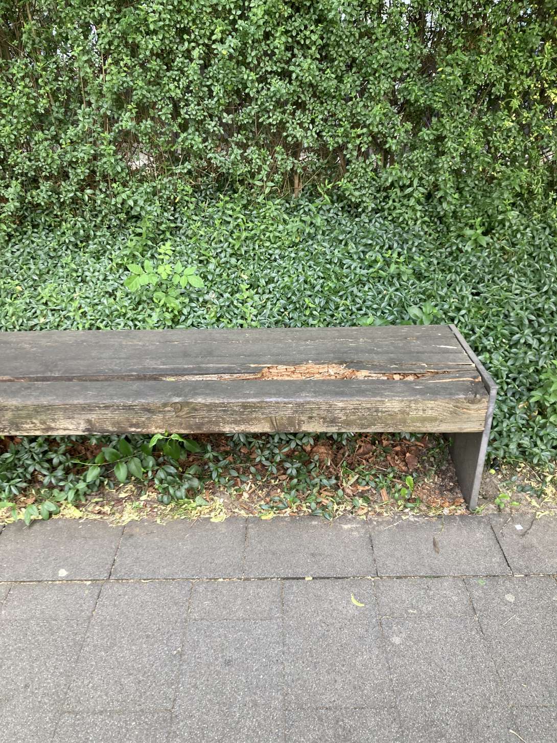 Bild zu gemeldetem Anliegen vom *2025-05-24 09:36:39
