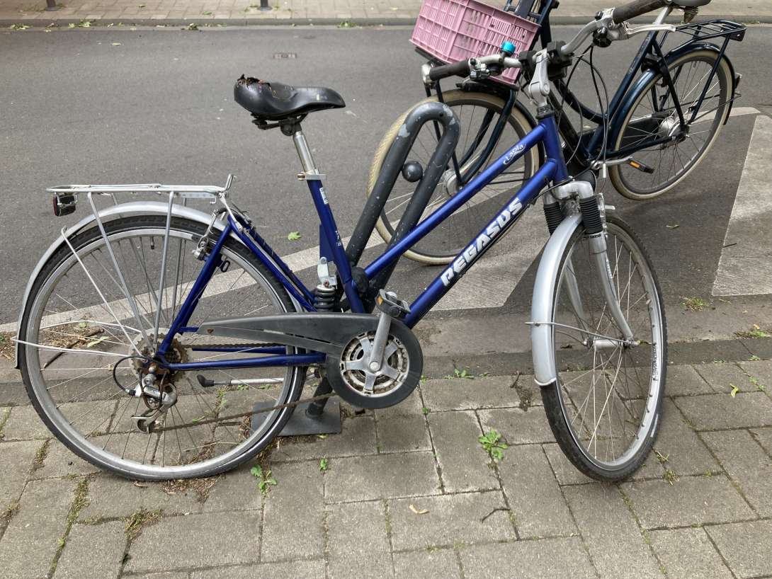 Bild zu gemeldetem Anliegen vom *2025-05-26 18:06:52