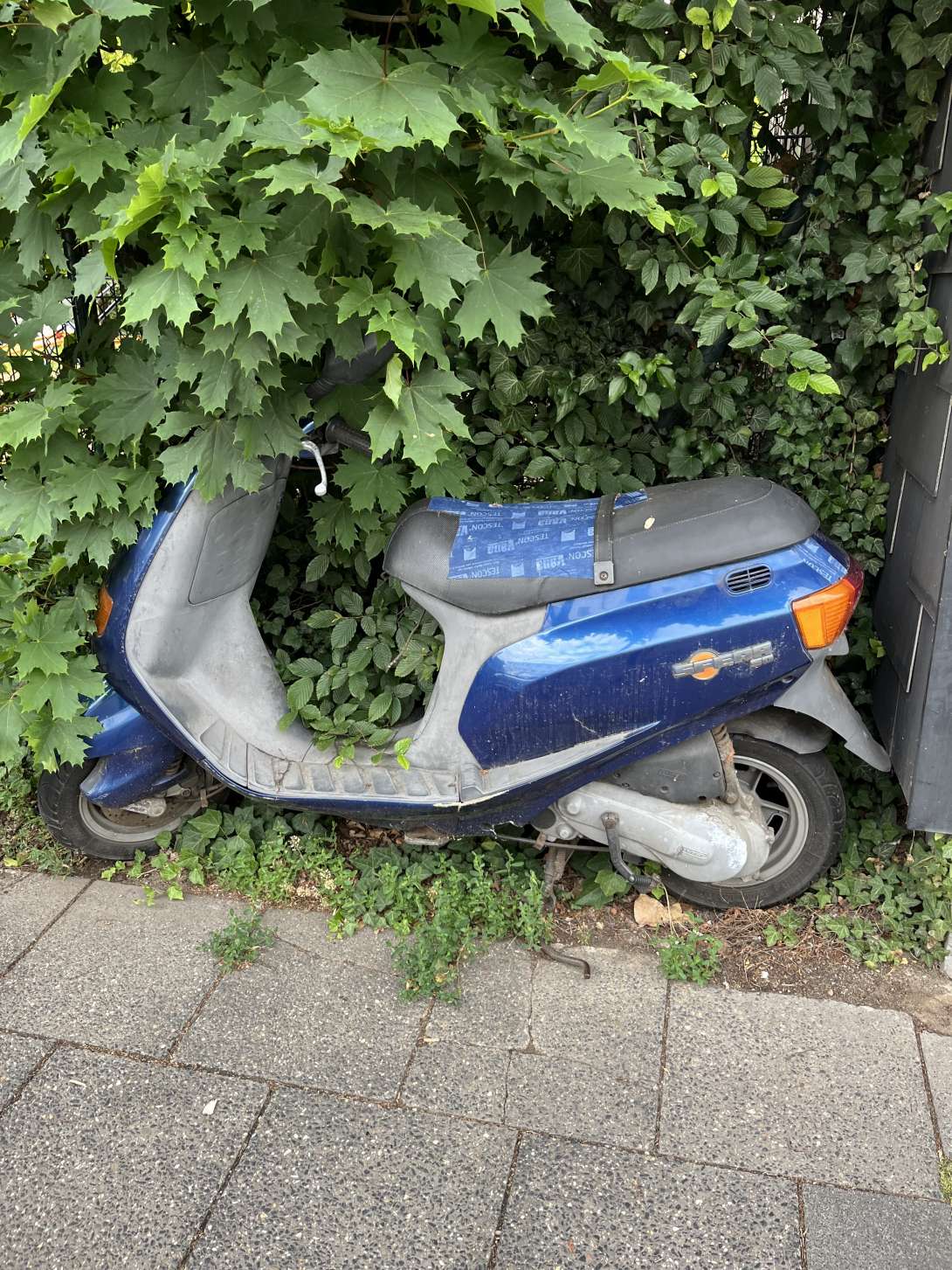 Bild zu gemeldetem Anliegen vom *2025-05-30 11:01:31