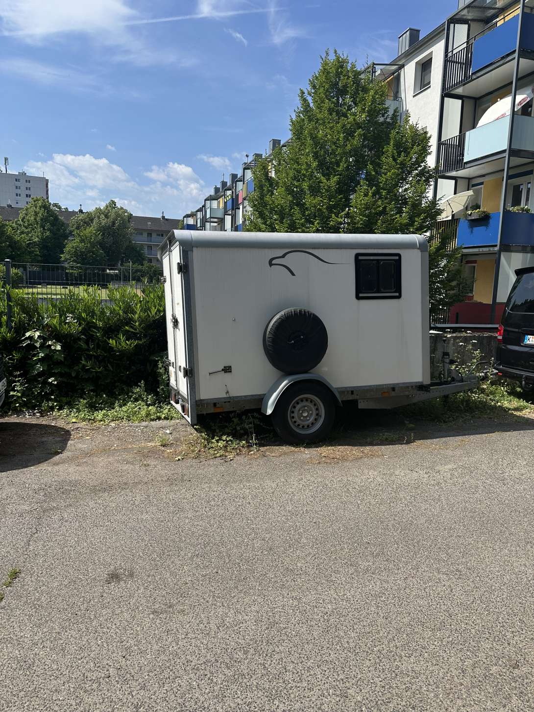 Bild zu gemeldetem Anliegen vom *2025-05-31 09:35:01