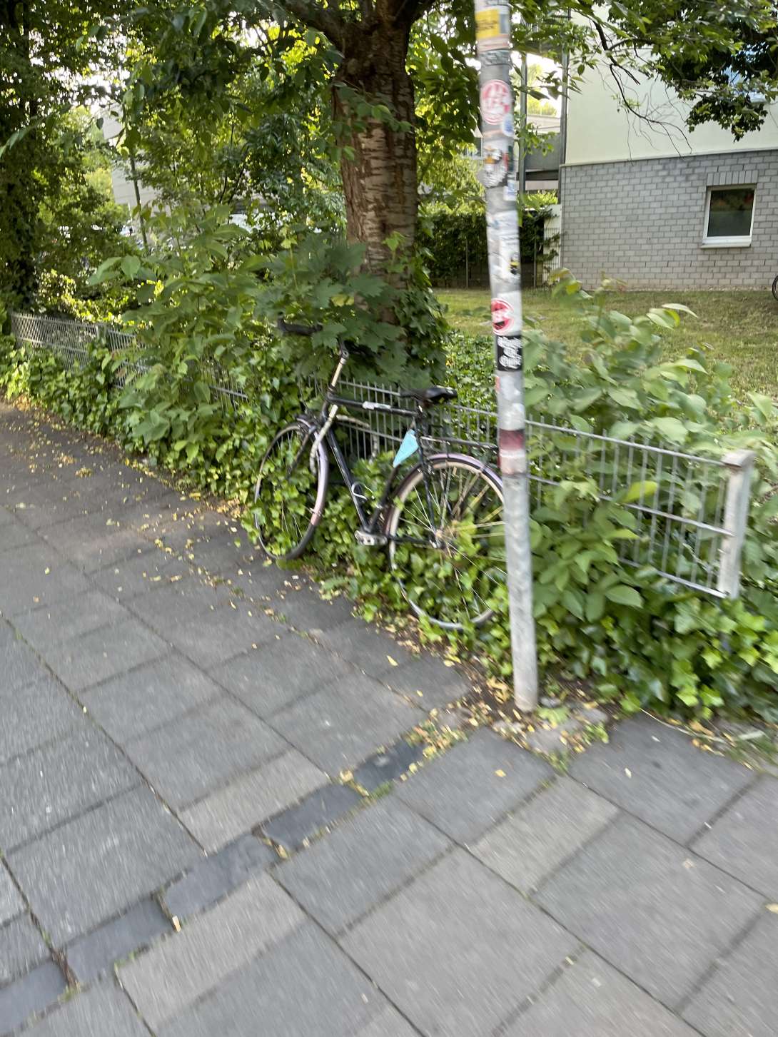 Bild zu gemeldetem Anliegen vom *2025-05-27 10:19:29