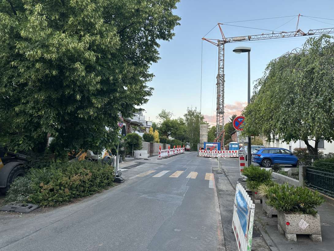 Bild zu gemeldetem Anliegen vom *2025-05-22 18:28:46