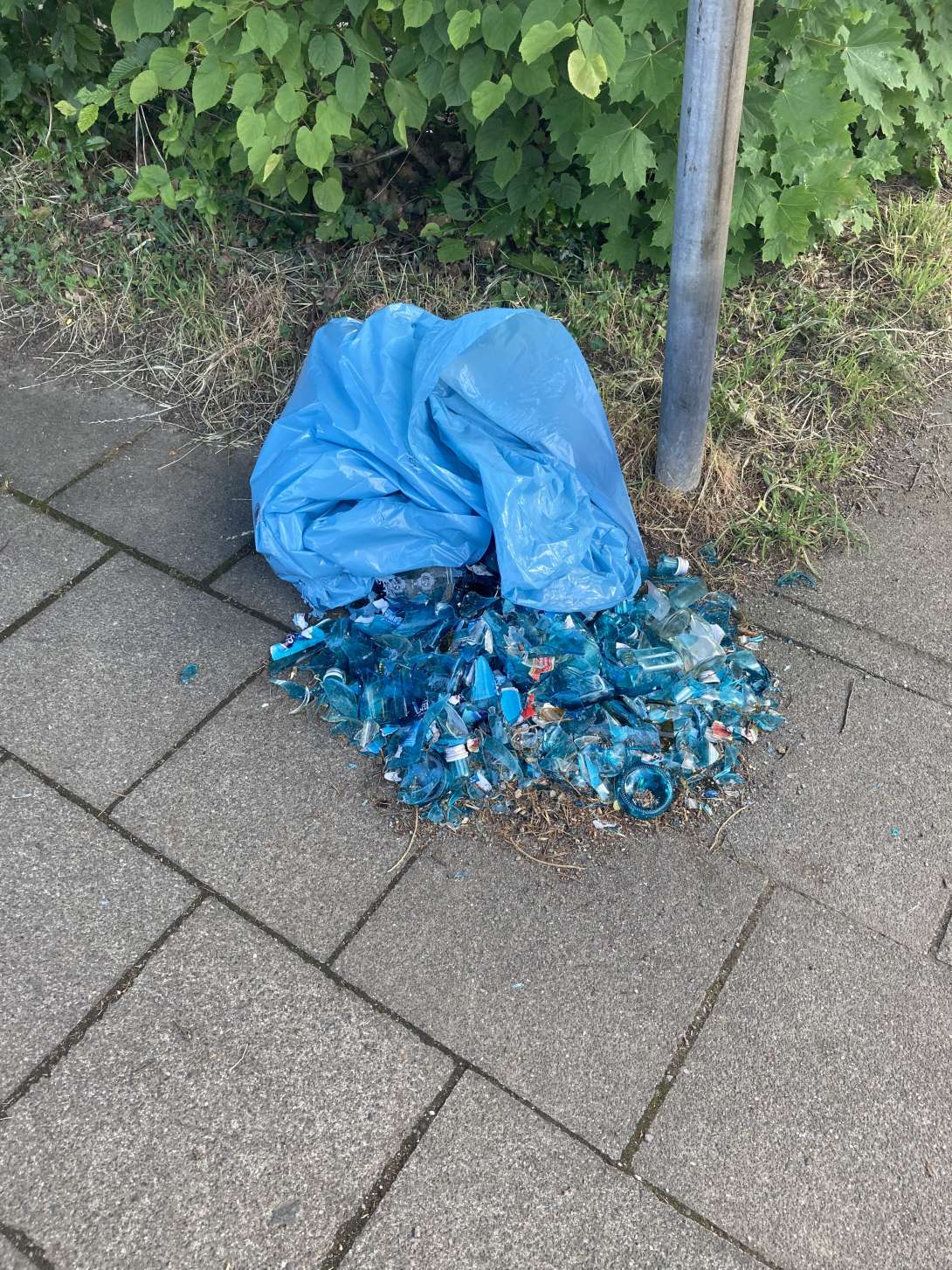 Bild zu gemeldetem Anliegen vom *2025-05-27 08:30:56