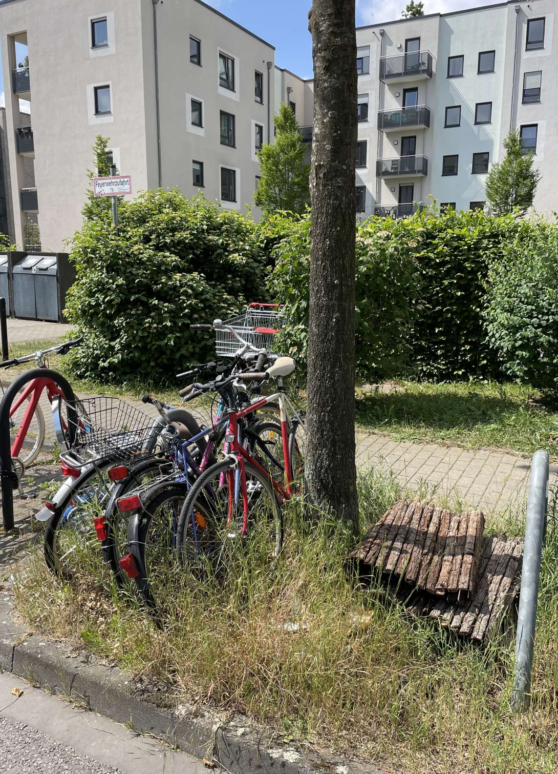 Bild zu gemeldetem Anliegen vom *2025-05-17 09:27:34