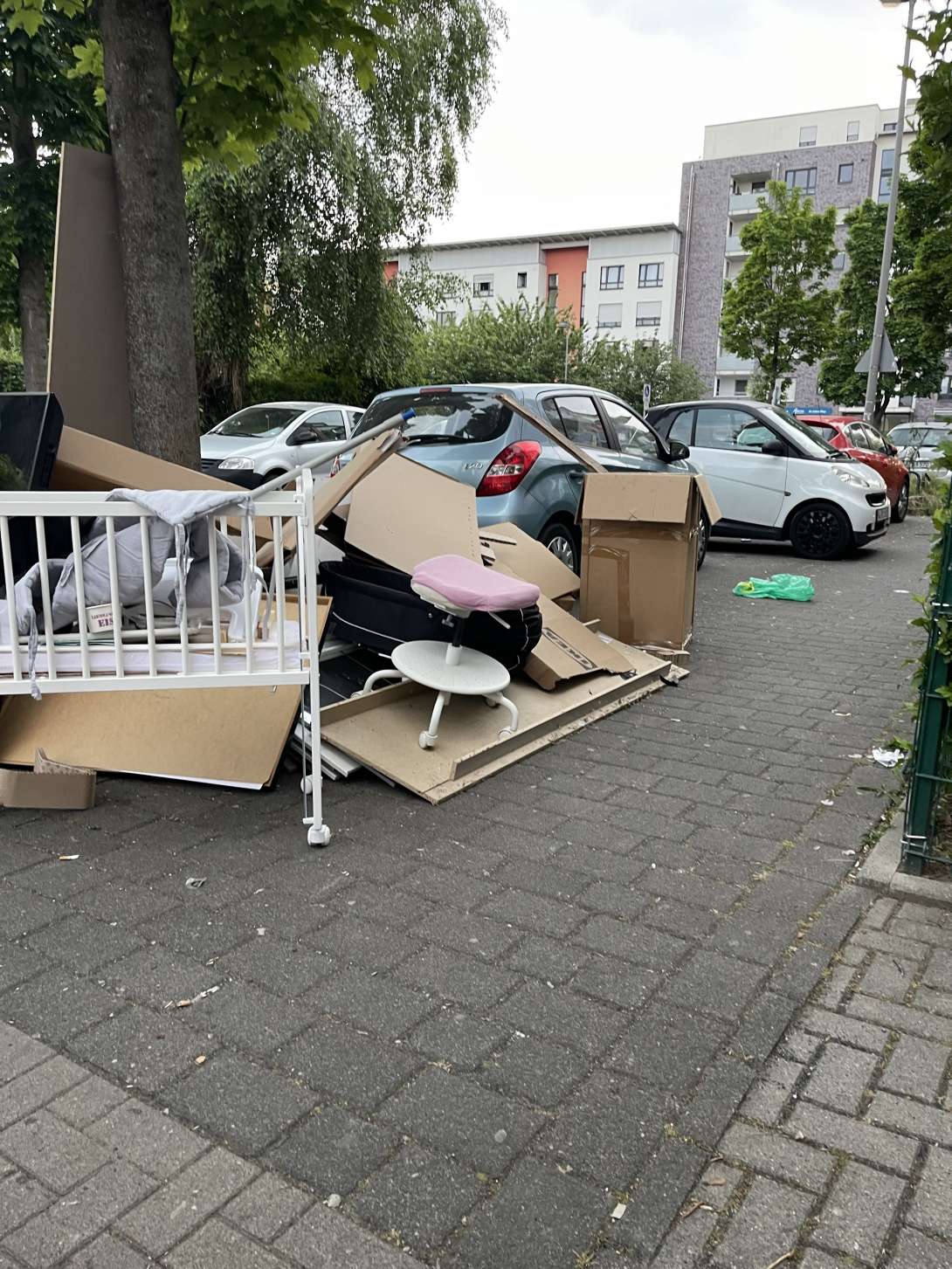Bild zu gemeldetem Anliegen vom *2025-05-19 21:34:34