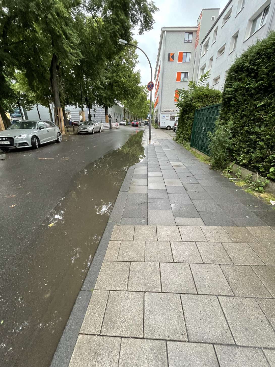Bild zu gemeldetem Anliegen vom *2025-05-29 19:43:35