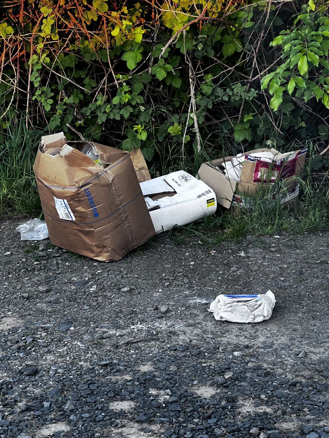 Bild zu gemeldetem Anliegen vom *2025-05-09 09:15:24