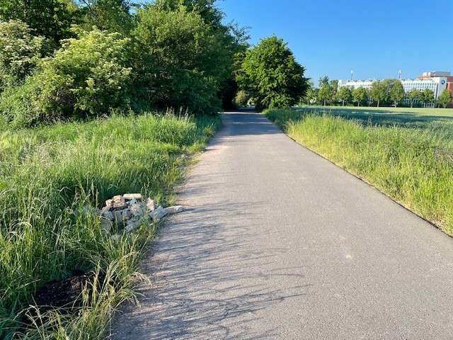 Bild zu gemeldetem Anliegen vom *2025-05-21 09:01:11