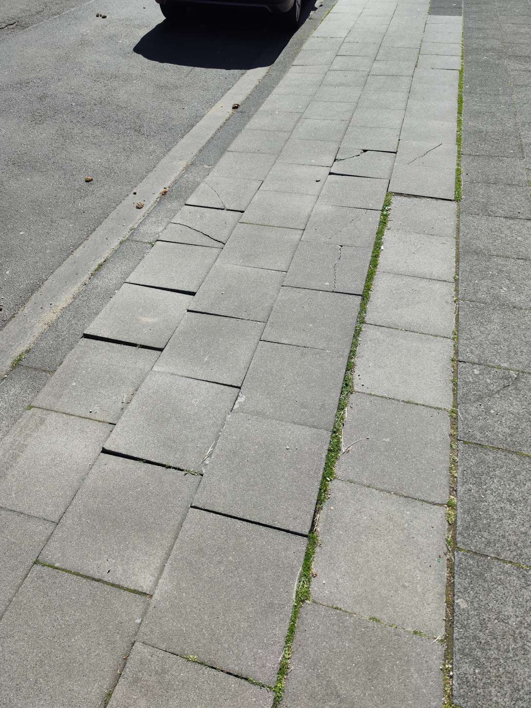 Bild zu gemeldetem Anliegen vom *2025-05-07 04:52:56