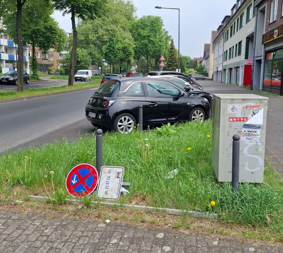 Bild zu gemeldetem Anliegen vom *2025-05-03 17:16:14