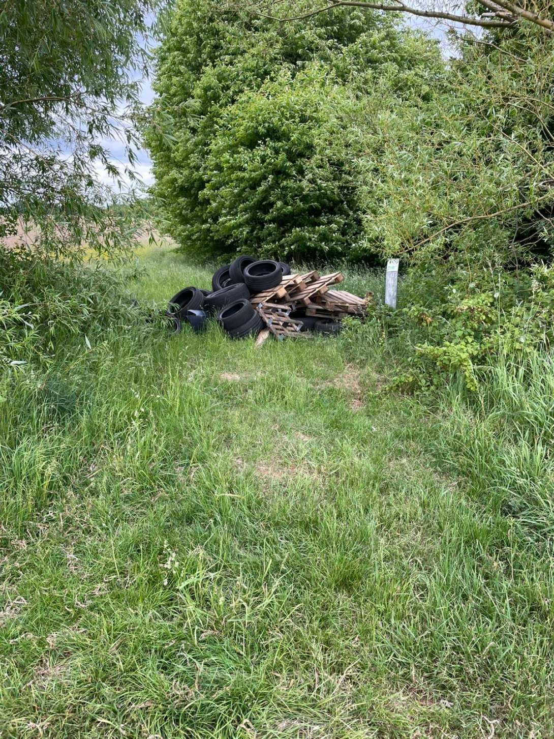 Bild zu gemeldetem Anliegen vom *2025-05-28 08:32:09