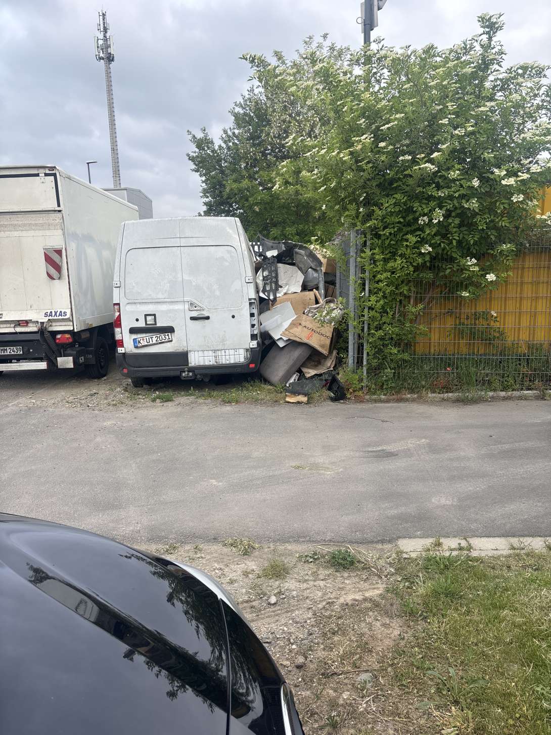 Bild zu gemeldetem Anliegen vom *2025-05-15 14:26:22