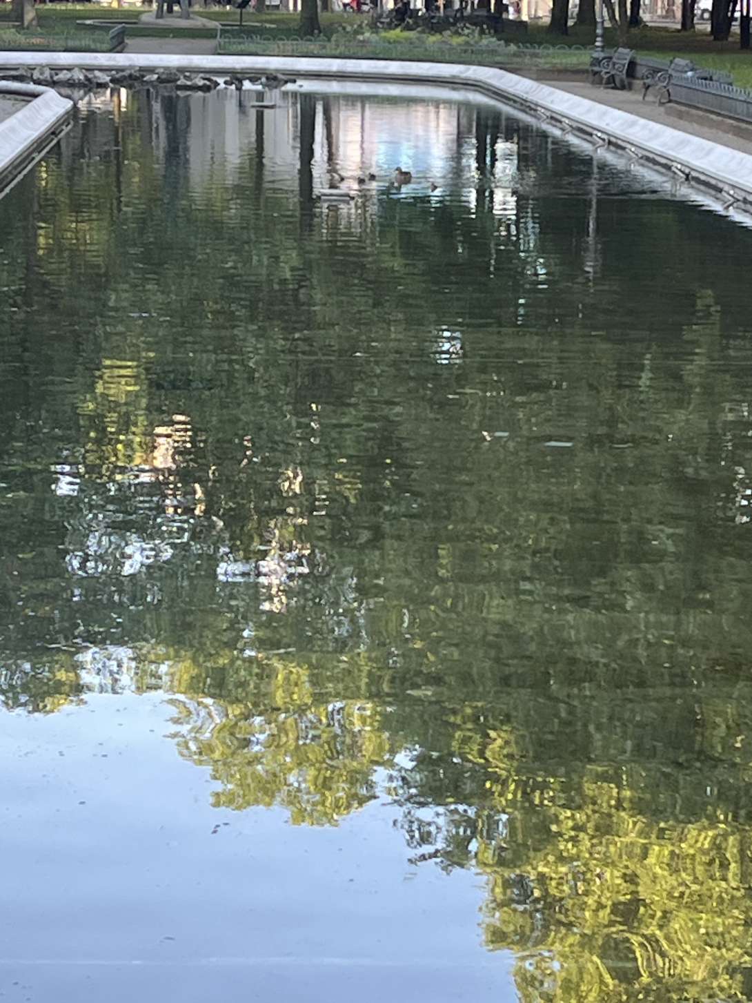 Bild zu gemeldetem Anliegen vom *2025-05-19 07:37:24