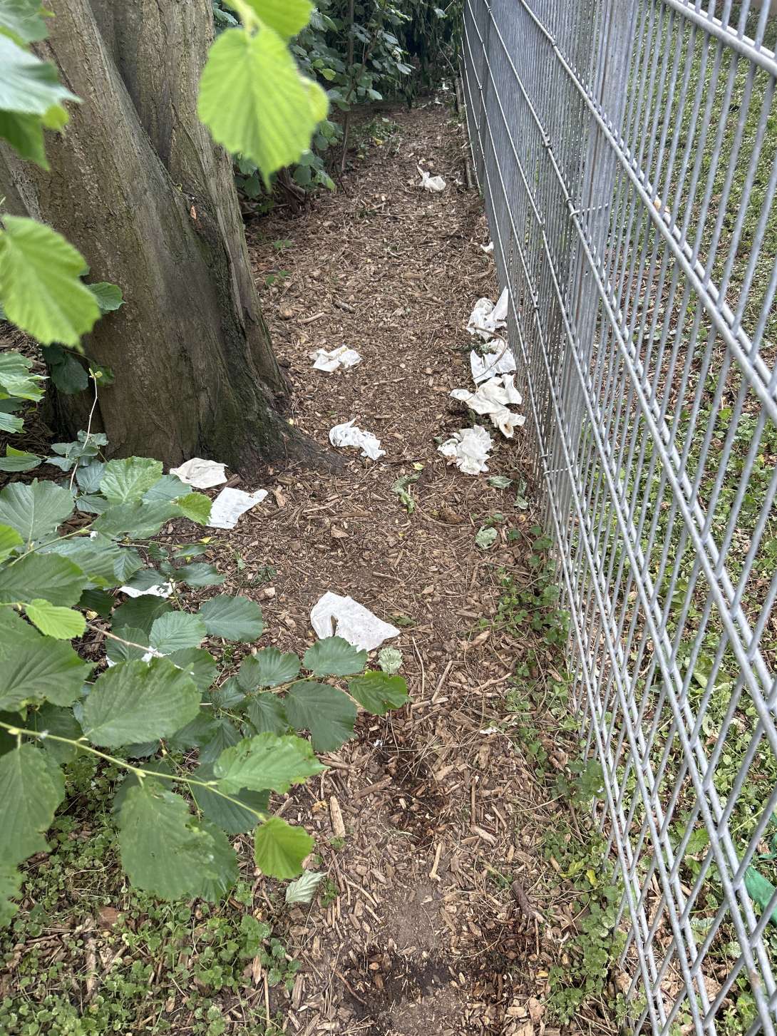 Bild zu gemeldetem Anliegen vom *2025-05-20 16:39:33