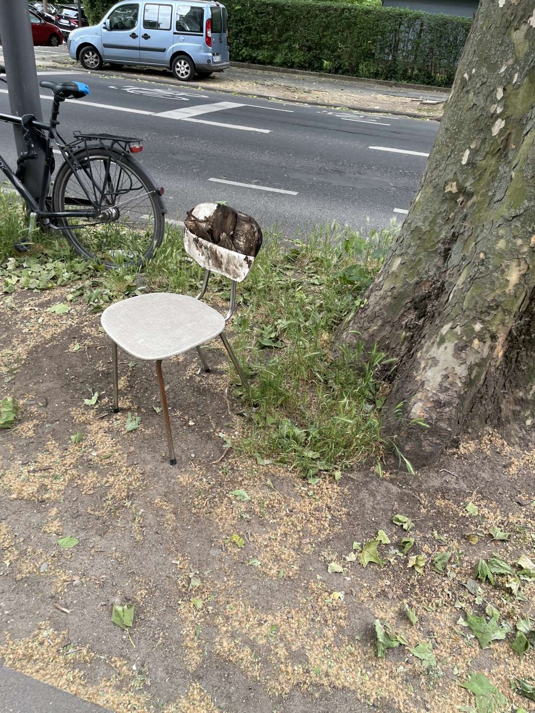 Bild zu gemeldetem Anliegen vom *2025-05-22 10:48:10